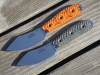 Busse-AHMLE-7
