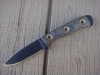 Busse-MS-4