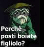 :saggio: